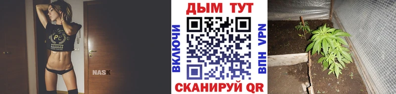 Наркошоп купить ГАШИШ  Конопля  Альфа ПВП  АМФ  Кокаин  Меф мяу мяу  Горбатов